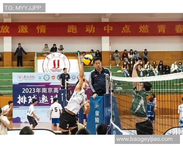 北京排球队在精英赛中的团队协作表现分析与点评