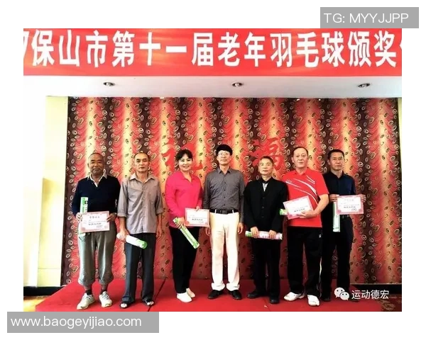 北京羽毛球队边路渗透策略分析与战术成效评估